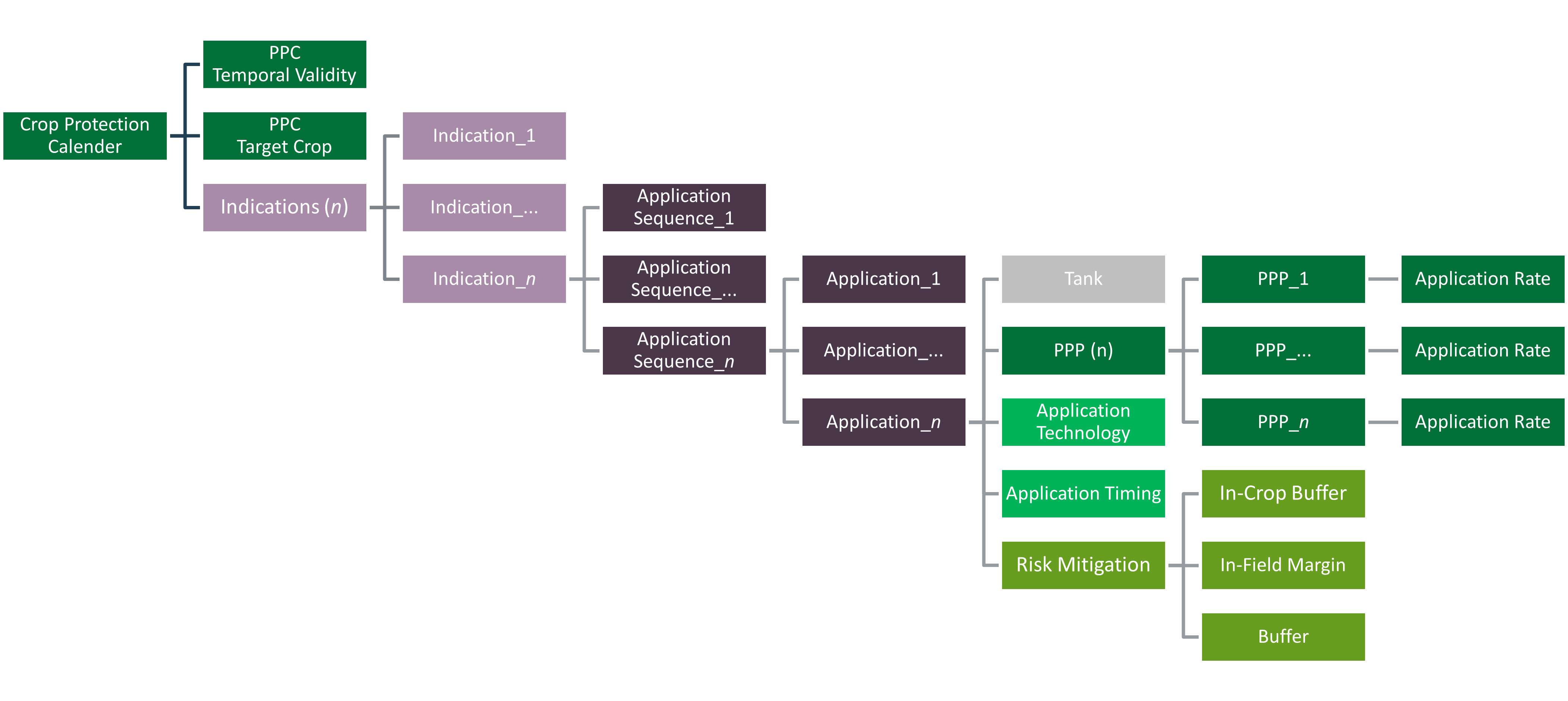 xCP Entities and their Relationship